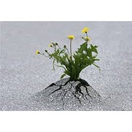 Nhành Hóa Chất là Ngành Mũi Nhọn Trong Công Nghiệp